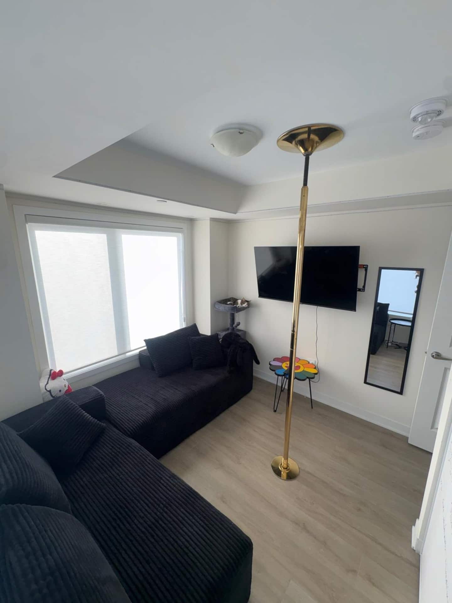 Lounge with sectional sofa, television and pole in daylight